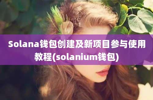 Solana钱包创建及新项目参与使用教程(solanium钱包)