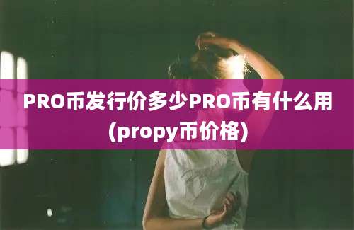 PRO币发行价多少PRO币有什么用(propy币价格)