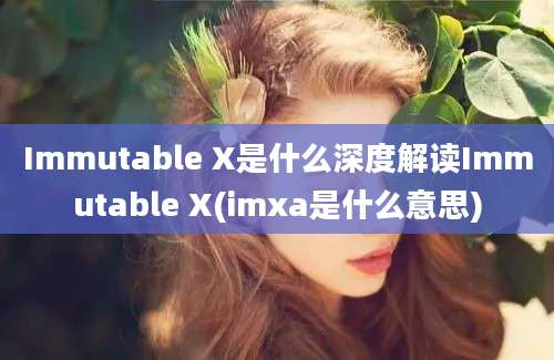 Immutable X是什么深度解读Immutable X(imxa是什么意思)