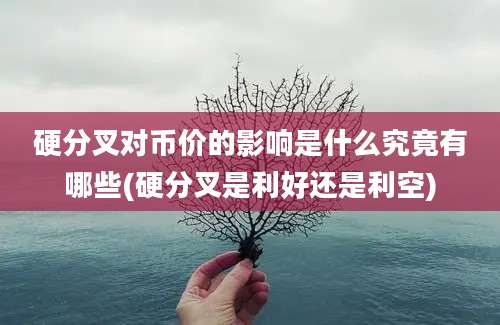 硬分叉对币价的影响是什么究竟有哪些(硬分叉是利好还是利空)