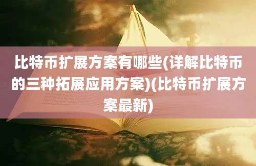 比特币扩展方案有哪些(详解比特币的三种拓展应用方案)(比特币扩展方案最新)