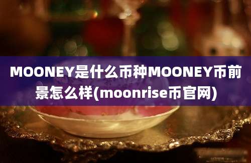 MOONEY是什么币种MOONEY币前景怎么样(moonrise币官网)