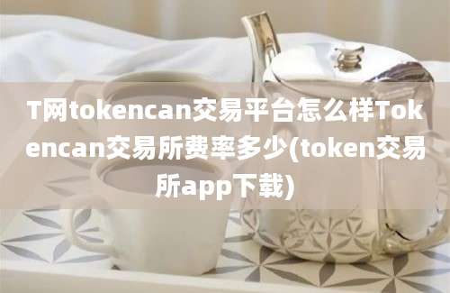 T网tokencan交易平台怎么样Tokencan交易所费率多少(token交易所app下载)