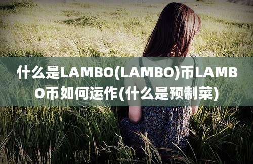 什么是LAMBO(LAMBO)币LAMBO币如何运作(什么是预制菜)