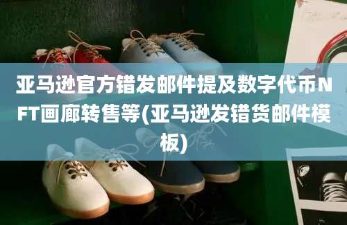 亚马逊官方错发邮件提及数字代币NFT画廊转售等(亚马逊发错货邮件模板)