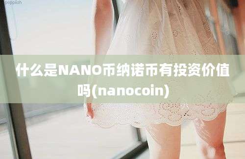 什么是NANO币纳诺币有投资价值吗(nanocoin)