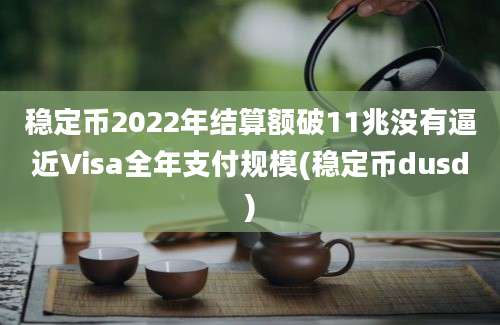 稳定币2022年结算额破11兆没有逼近Visa全年支付规模(稳定币dusd)