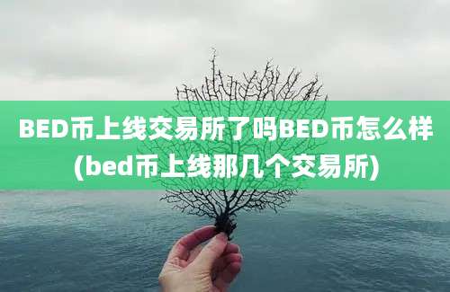 BED币上线交易所了吗BED币怎么样(bed币上线那几个交易所)