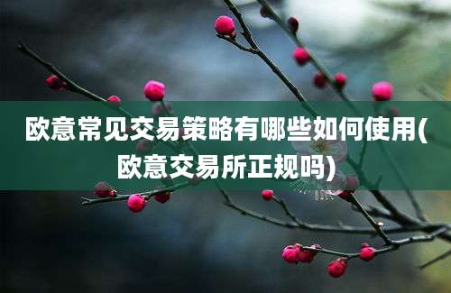 欧意常见交易策略有哪些如何使用(欧意交易所正规吗)