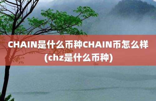 CHAIN是什么币种CHAIN币怎么样(chz是什么币种)