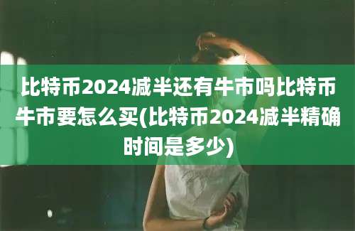 比特币2024减半还有牛市吗比特币牛市要怎么买(比特币2024减半精确时间是多少)