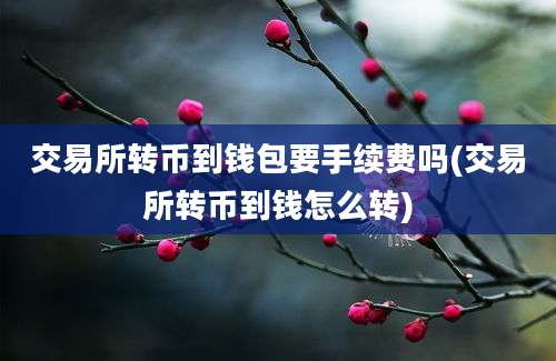 交易所转币到钱包要手续费吗(交易所转币到钱怎么转)