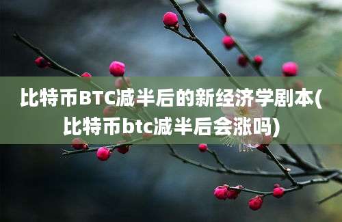 比特币BTC减半后的新经济学剧本(比特币btc减半后会涨吗)