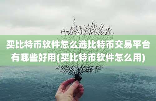 买比特币软件怎么选比特币交易平台有哪些好用(买比特币软件怎么用)