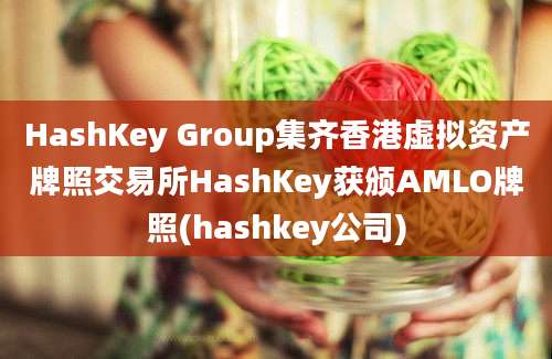 HashKey Group集齐香港虚拟资产牌照交易所HashKey获颁AMLO牌照(hashkey公司)