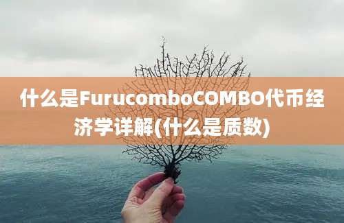 什么是FurucomboCOMBO代币经济学详解(什么是质数)