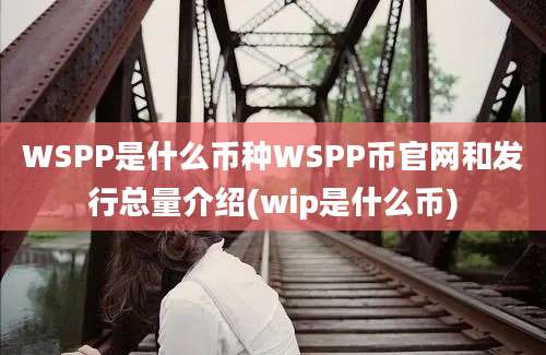 WSPP是什么币种WSPP币官网和发行总量介绍(wip是什么币)