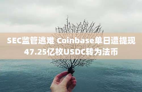 SEC监管逃难 Coinbase单日遭提现47.25亿枚USDC转为法币