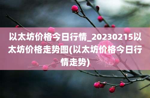 以太坊价格今日行情_20230215以太坊价格走势图(以太坊价格今日行情走势)