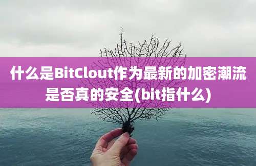 什么是BitClout作为最新的加密潮流是否真的安全(bit指什么)