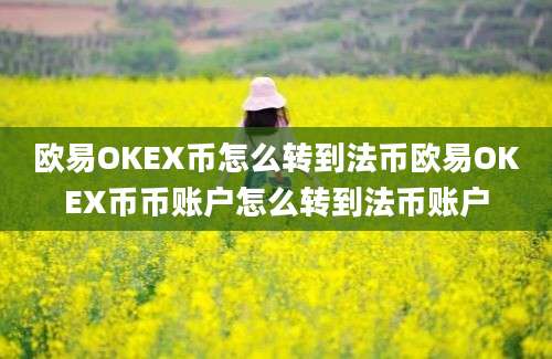 欧易OKEX币怎么转到法币欧易OKEX币币账户怎么转到法币账户