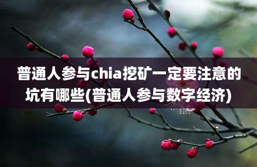 普通人参与chia挖矿一定要注意的坑有哪些(普通人参与数字经济)