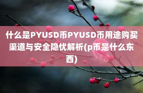 什么是PYUSD币PYUSD币用途购买渠道与安全隐忧解析(p币是什么东西)