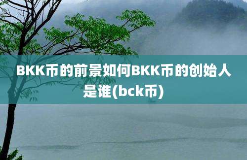 BKK币的前景如何BKK币的创始人是谁(bck币)