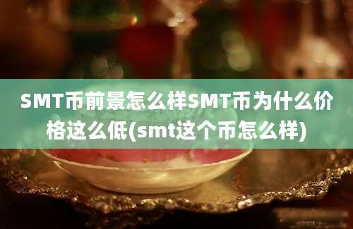 SMT币前景怎么样SMT币为什么价格这么低(smt这个币怎么样)