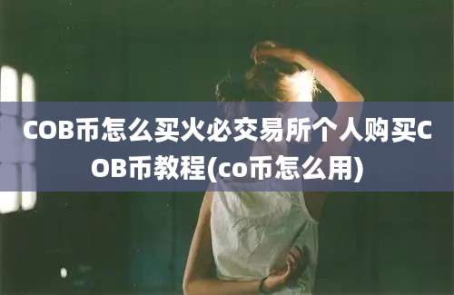 COB币怎么买火必交易所个人购买COB币教程(co币怎么用)