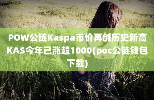 POW公链Kaspa币价再创历史新高KAS今年已涨超1000(poc公链钱包下载)