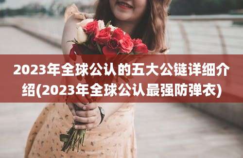 2023年全球公认的五大公链详细介绍(2023年全球公认最强防弹衣)