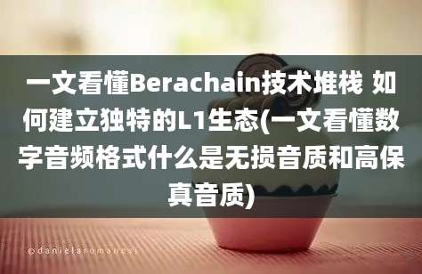 一文看懂Berachain技术堆栈 如何建立独特的L1生态(一文看懂数字音频格式什么是无损音质和高保真音质)