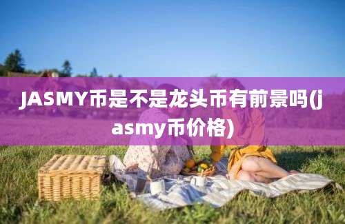 JASMY币是不是龙头币有前景吗(jasmy币价格)