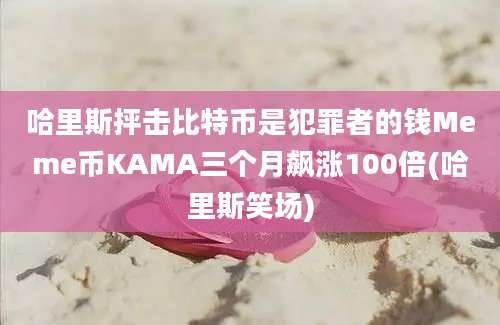 哈里斯抨击比特币是犯罪者的钱Meme币KAMA三个月飙涨100倍(哈里斯笑场)