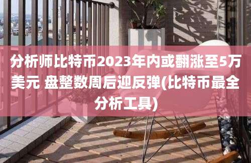 分析师比特币2023年内或翻涨至5万美元 盘整数周后迎反弹(比特币最全分析工具)