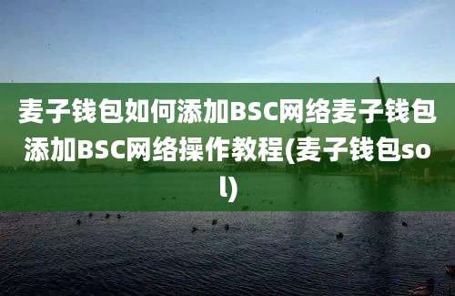 麦子钱包如何添加BSC网络麦子钱包添加BSC网络操作教程(麦子钱包sol)