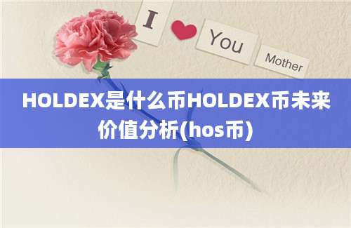 HOLDEX是什么币HOLDEX币未来价值分析(hos币)