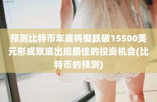 预测比特币年底将假跌破15500美元形成双底出现最佳的投资机会(比特币的预测)