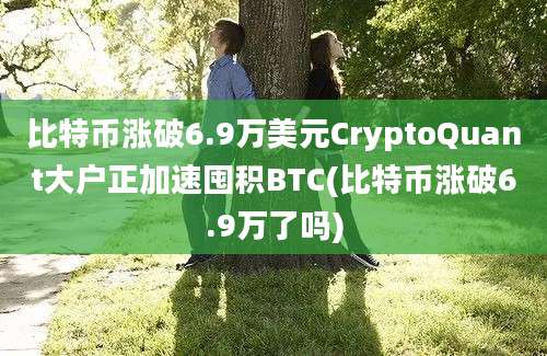 比特币涨破6.9万美元CryptoQuant大户正加速囤积BTC(比特币涨破6.9万了吗)