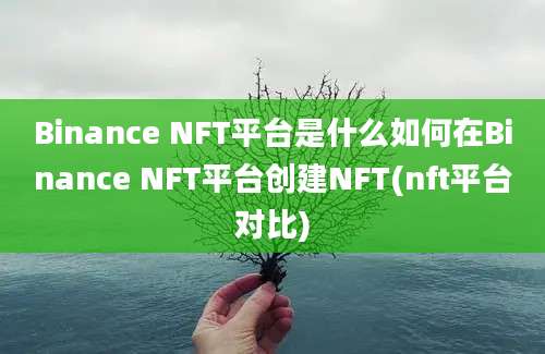 Binance NFT平台是什么如何在Binance NFT平台创建NFT(nft平台对比)