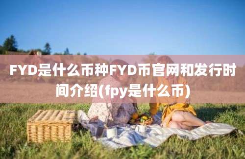 FYD是什么币种FYD币官网和发行时间介绍(fpy是什么币)