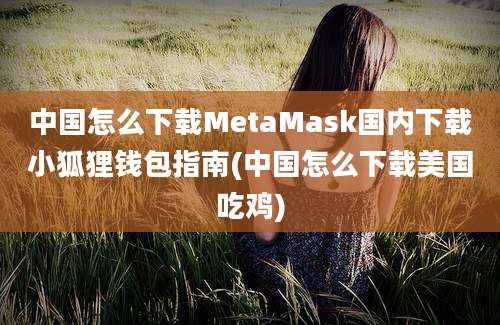 中国怎么下载MetaMask国内下载小狐狸钱包指南(中国怎么下载美国吃鸡)