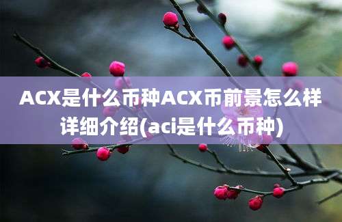 ACX是什么币种ACX币前景怎么样详细介绍(aci是什么币种)