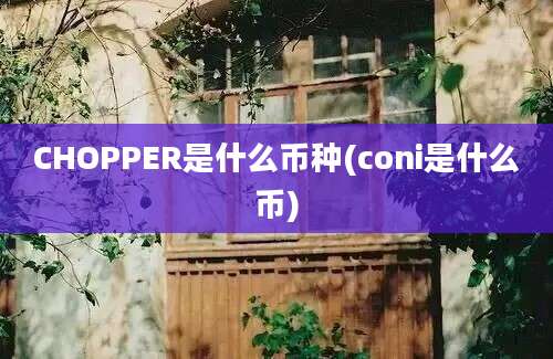 CHOPPER是什么币种(coni是什么币)