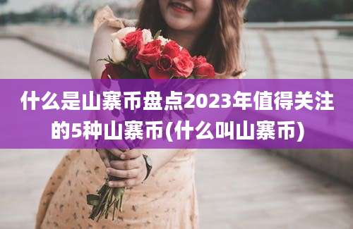 什么是山寨币盘点2023年值得关注的5种山寨币(什么叫山寨币)