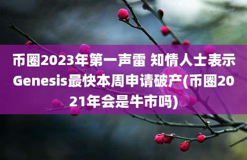 币圈2023年第一声雷 知情人士表示Genesis最快本周申请破产(币圈2021年会是牛市吗)