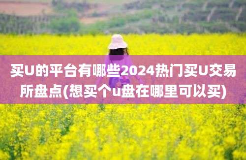 买U的平台有哪些2024热门买U交易所盘点(想买个u盘在哪里可以买)