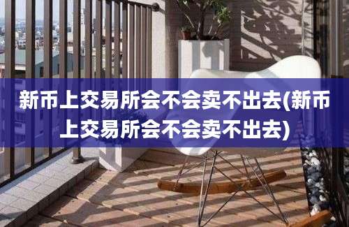 新币上交易所会不会卖不出去(新币上交易所会不会卖不出去)