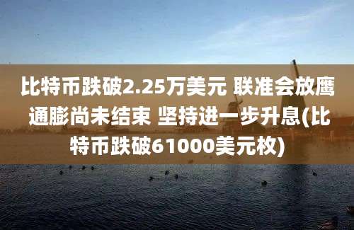 比特币跌破2.25万美元 联准会放鹰 通膨尚未结束 坚持进一步升息(比特币跌破61000美元枚)